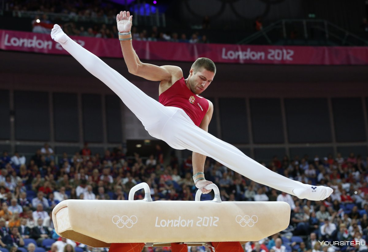 Алексей Козлов спортивная гимнастика