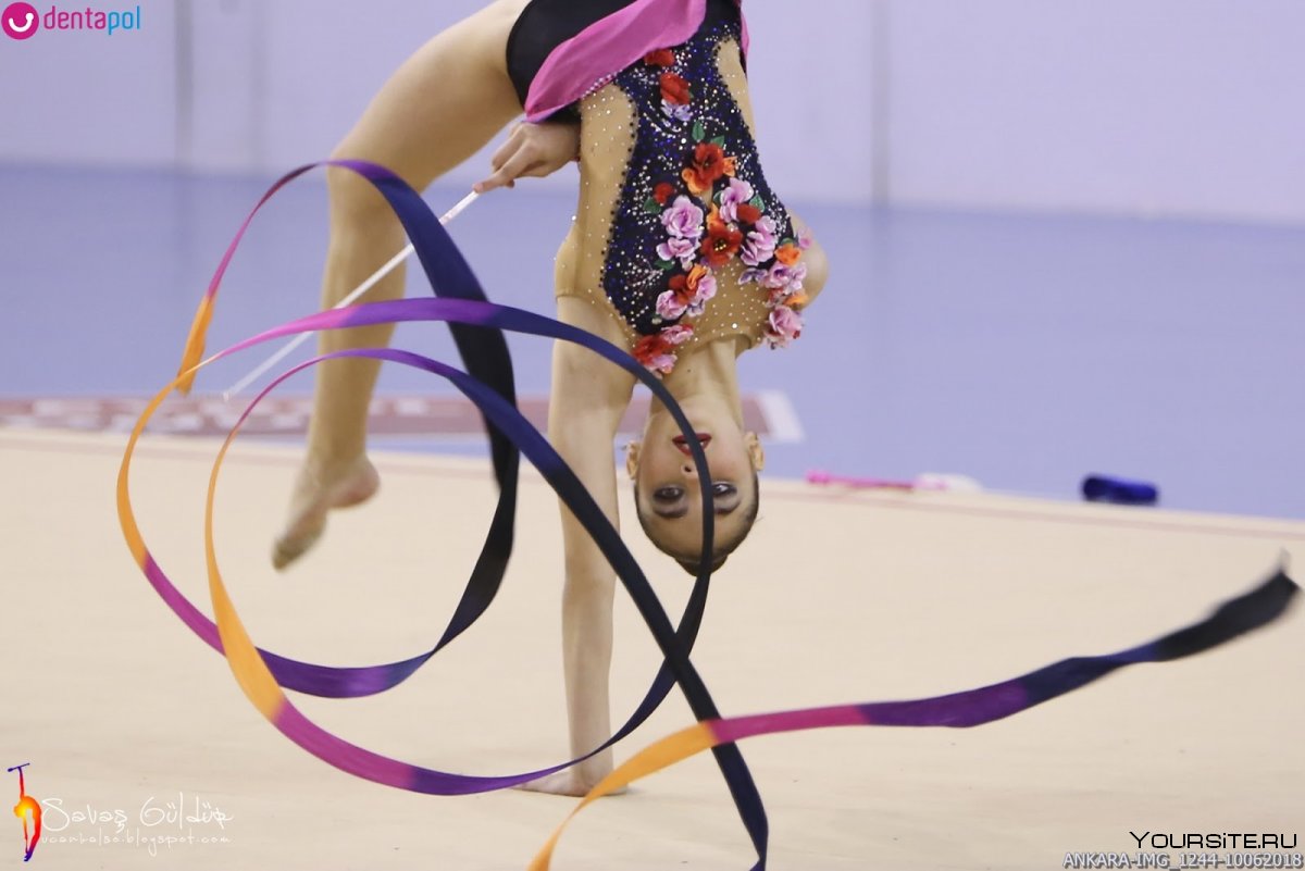 Дарья Зайцева художественная гимнастика