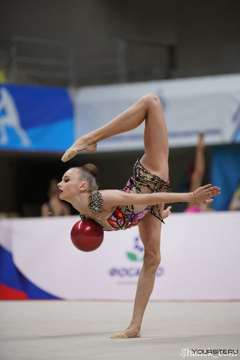 Борцовская гимнастика