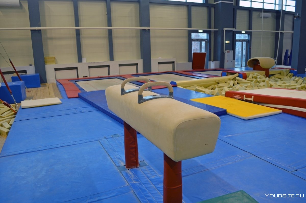 Зал спортивной гимнастики