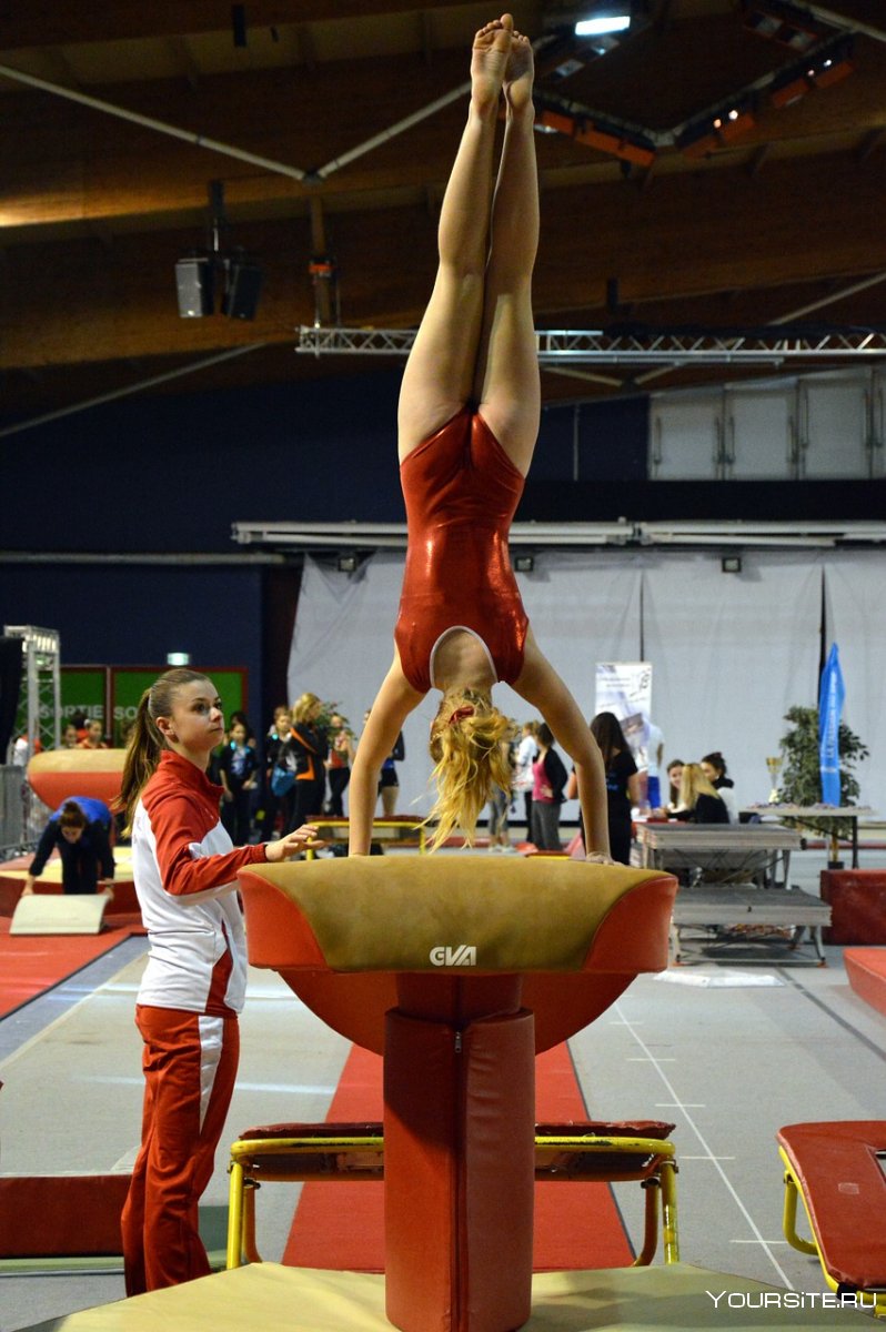 Спортивная форма гимнастов