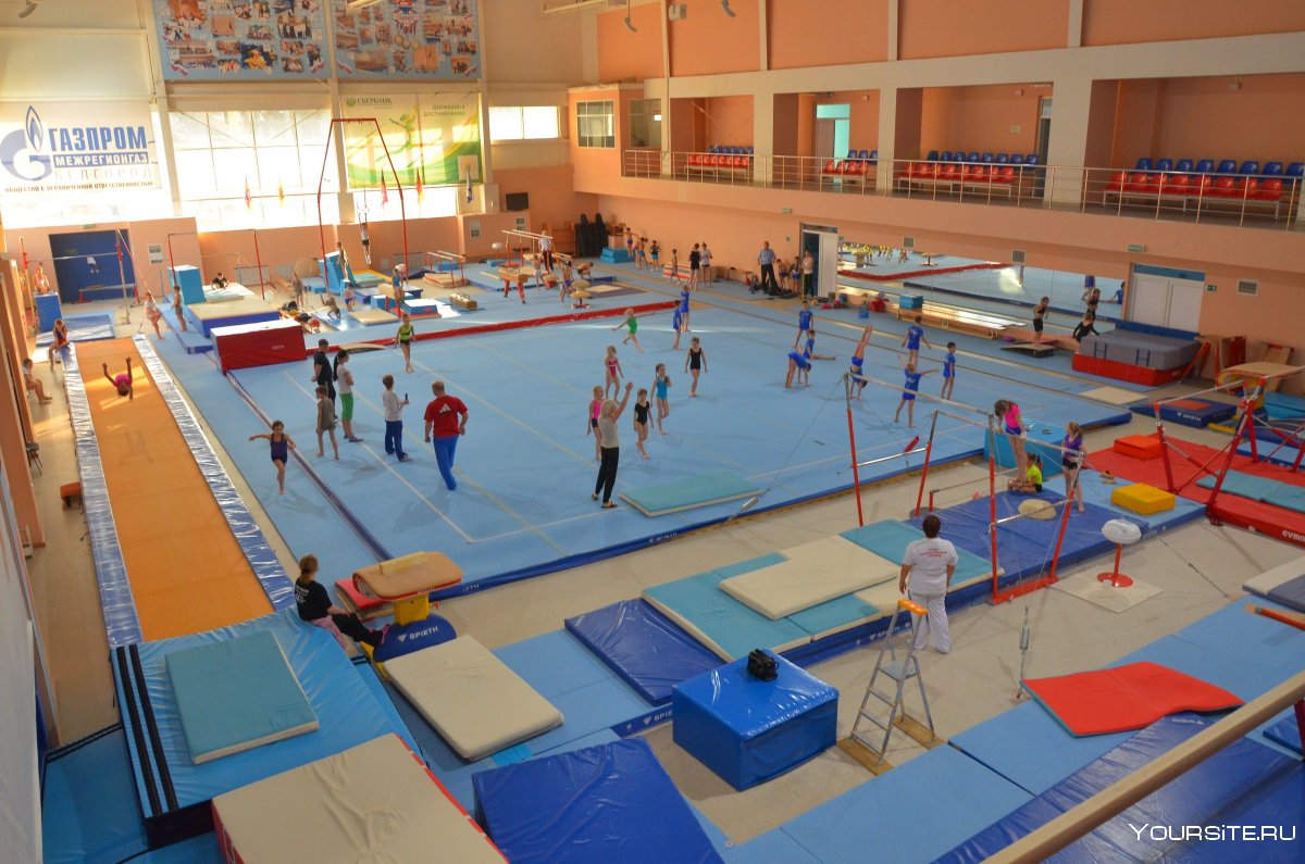 Зал спортивной гимнастики Армавир