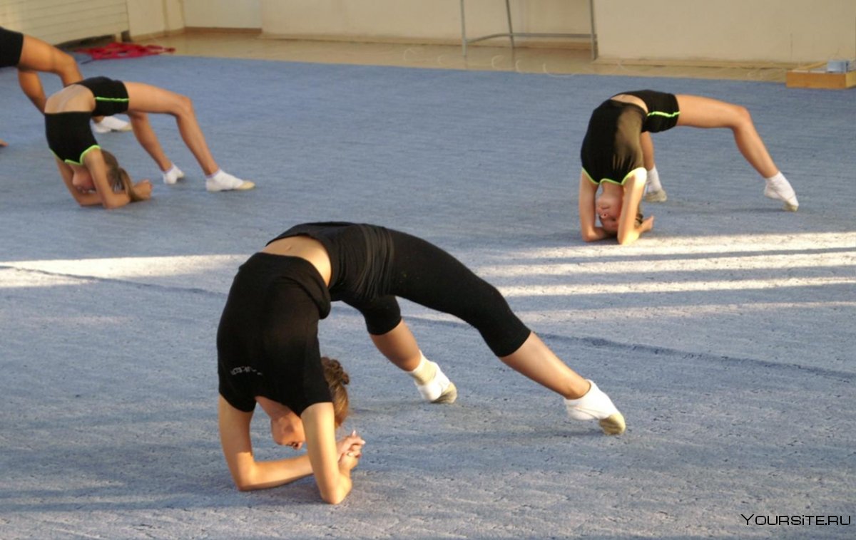 Тренировка по гимнастике