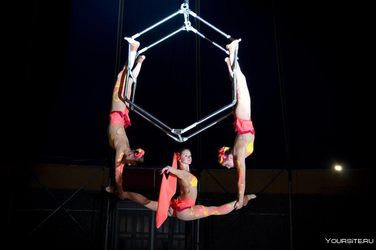 Воздушная гимнастика в цирке