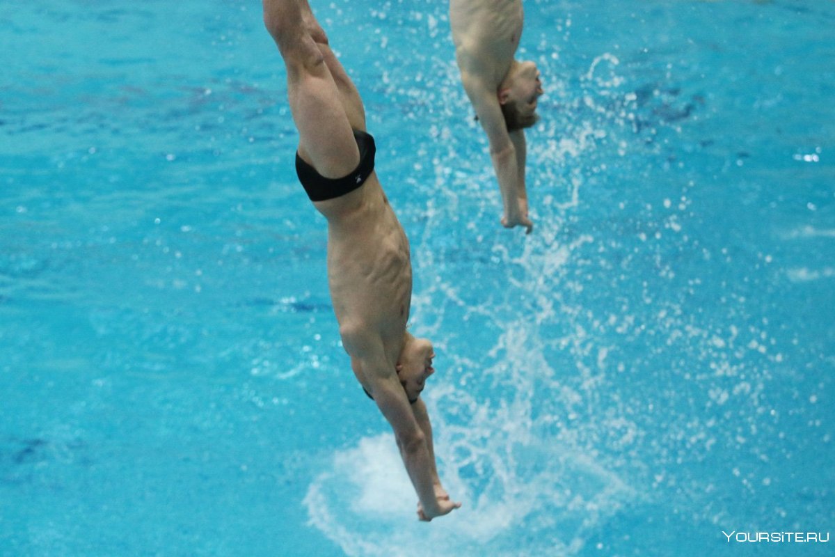 Плавание прыжки в воду