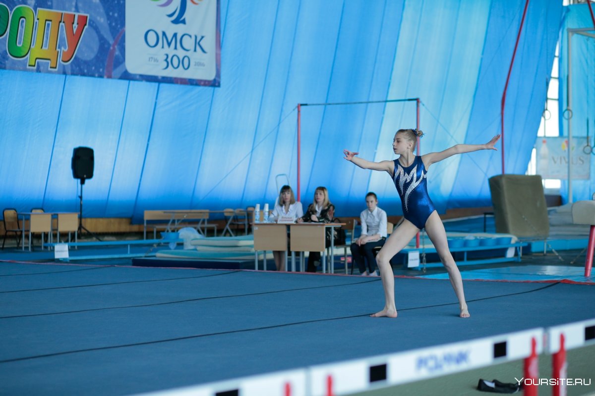 Дворец художественной гимнастики Омск