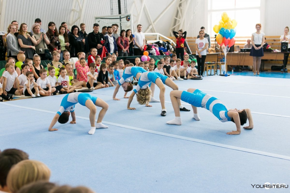 Спортивная школа 1 Рыбинск акробатика