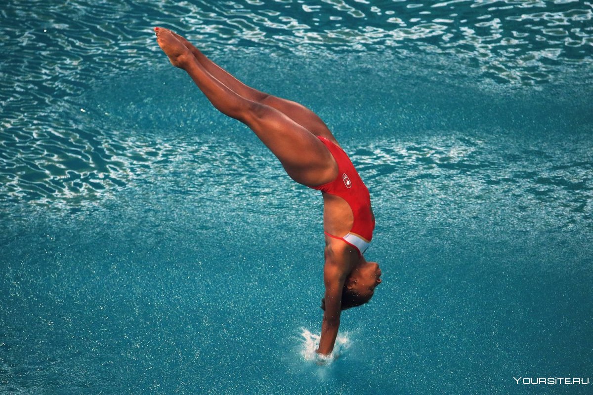 Плавание прыжки в воду