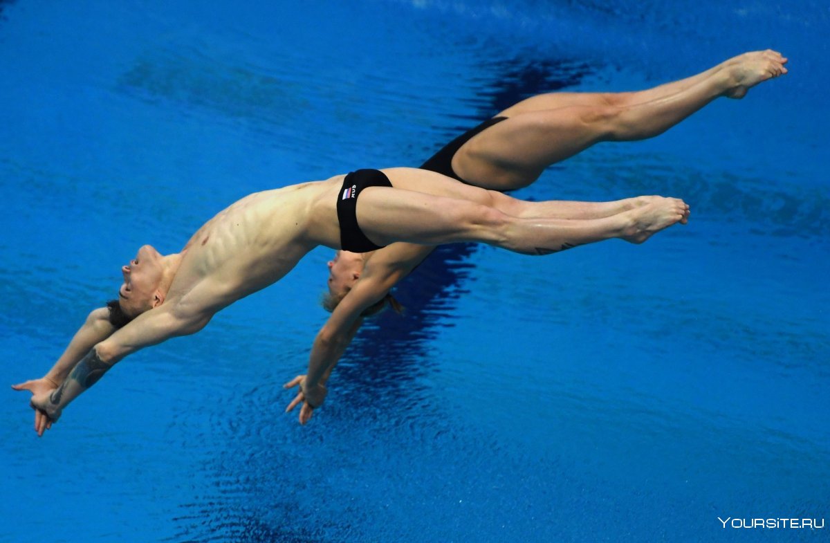 Дэвид Дженкинс прыжки в воду