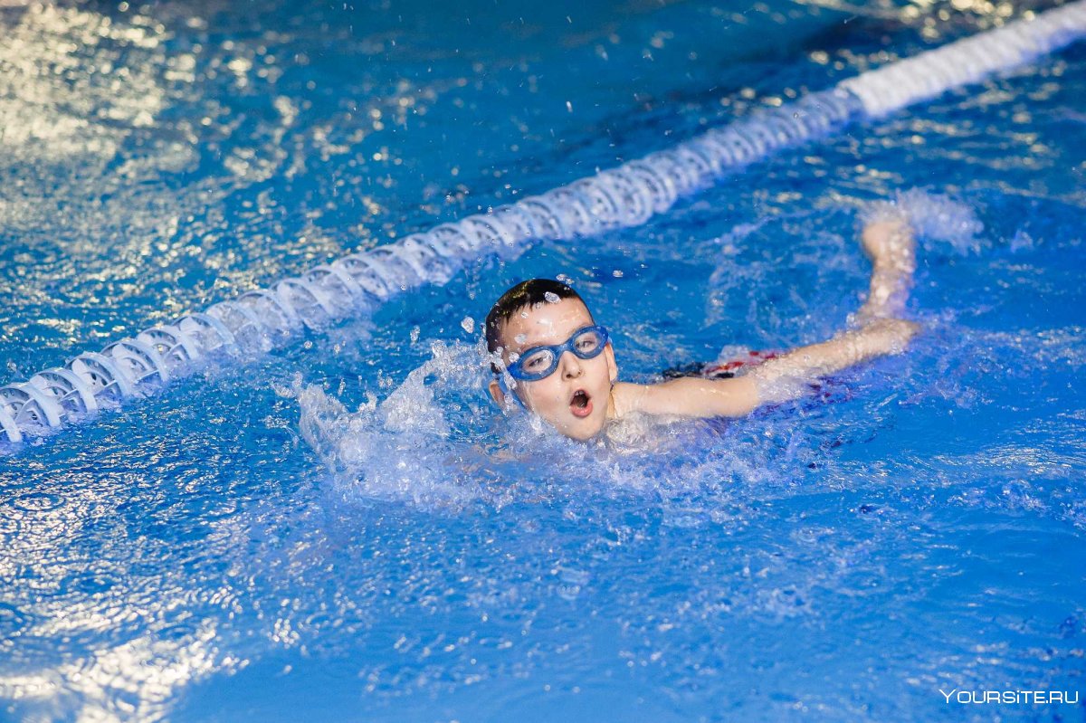 Детское плавание соревнования