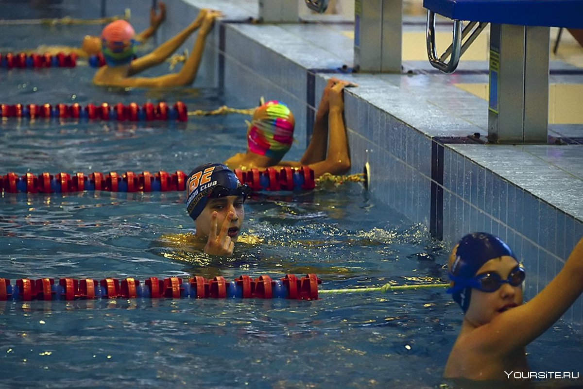 Детское плавание соревнования