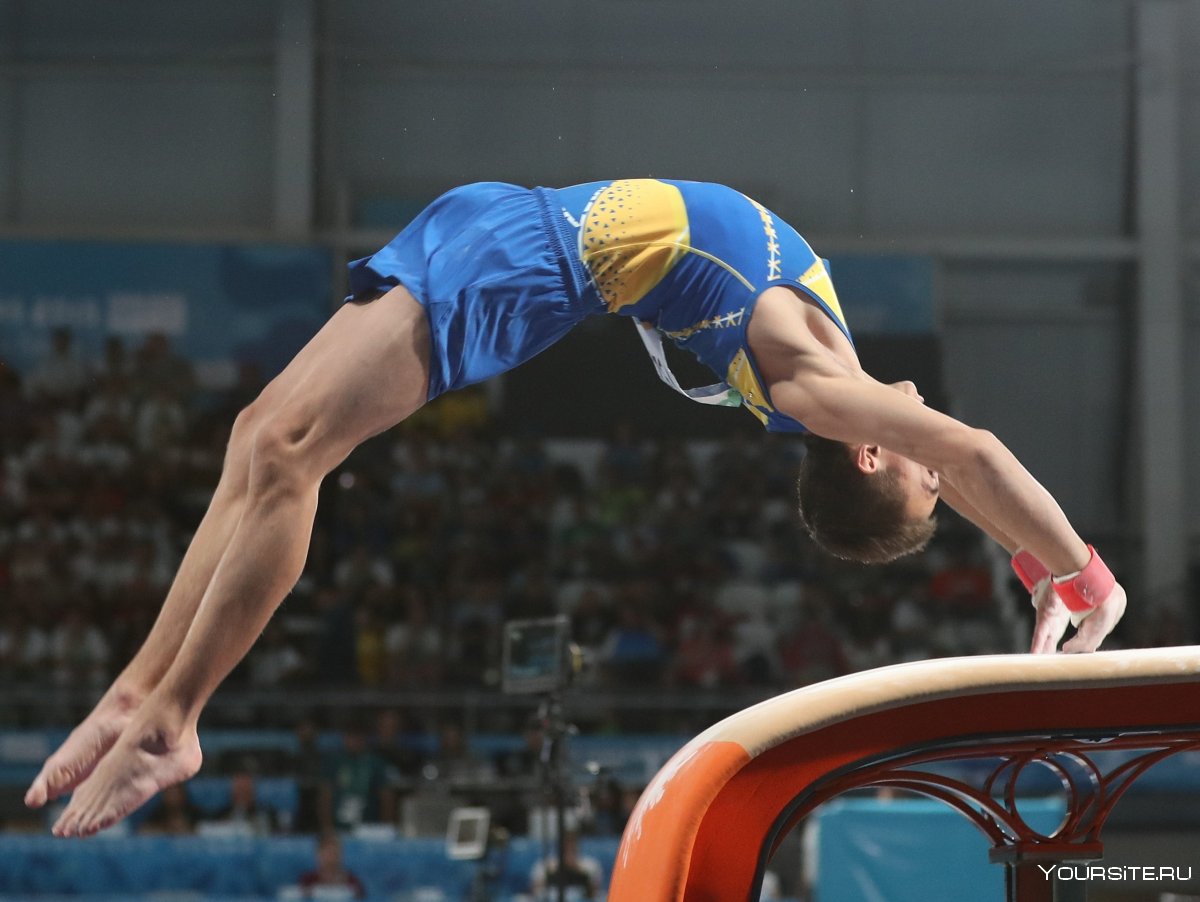 Валерий Люкин гимнаст