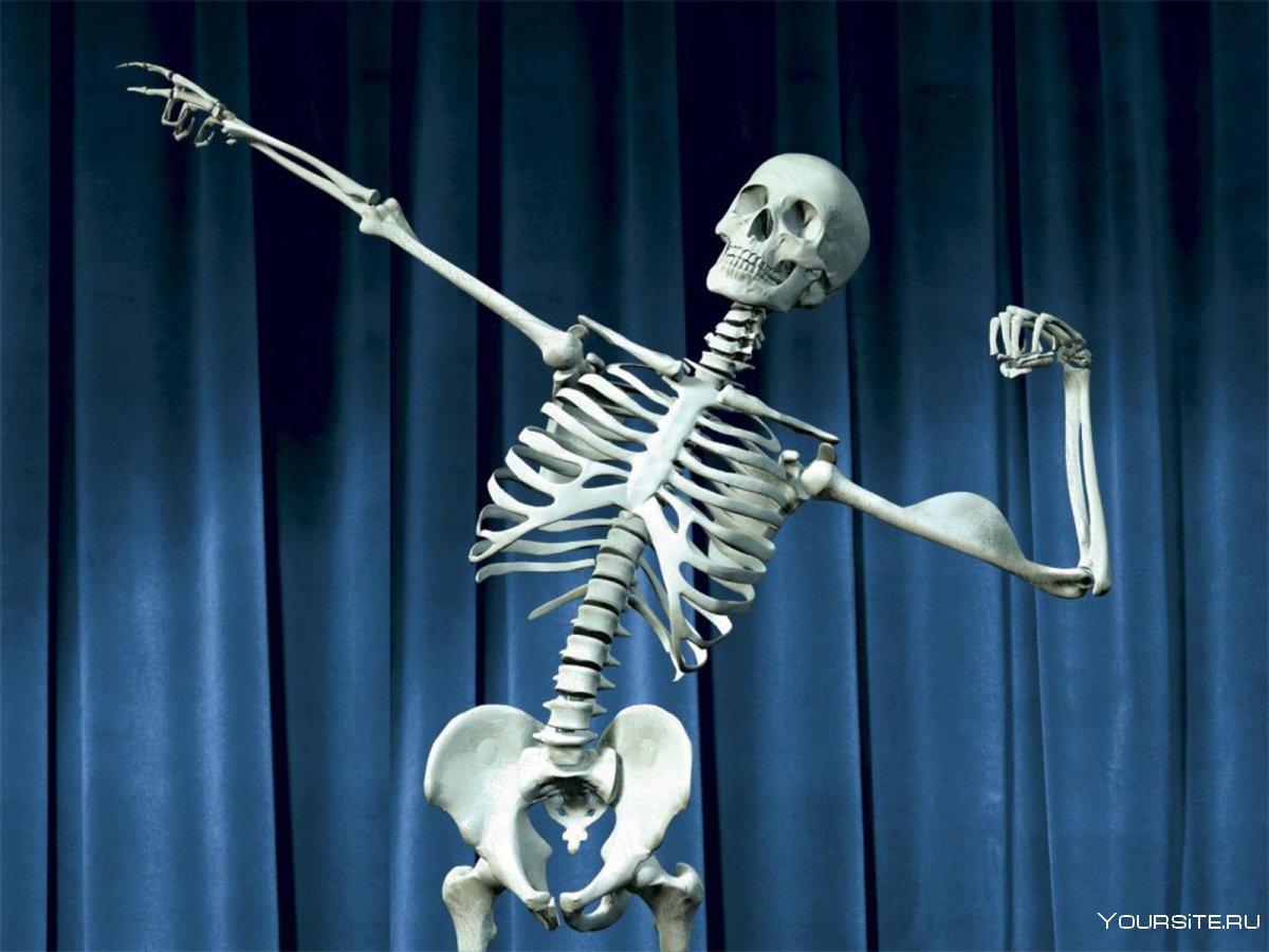 Скелет локлайн