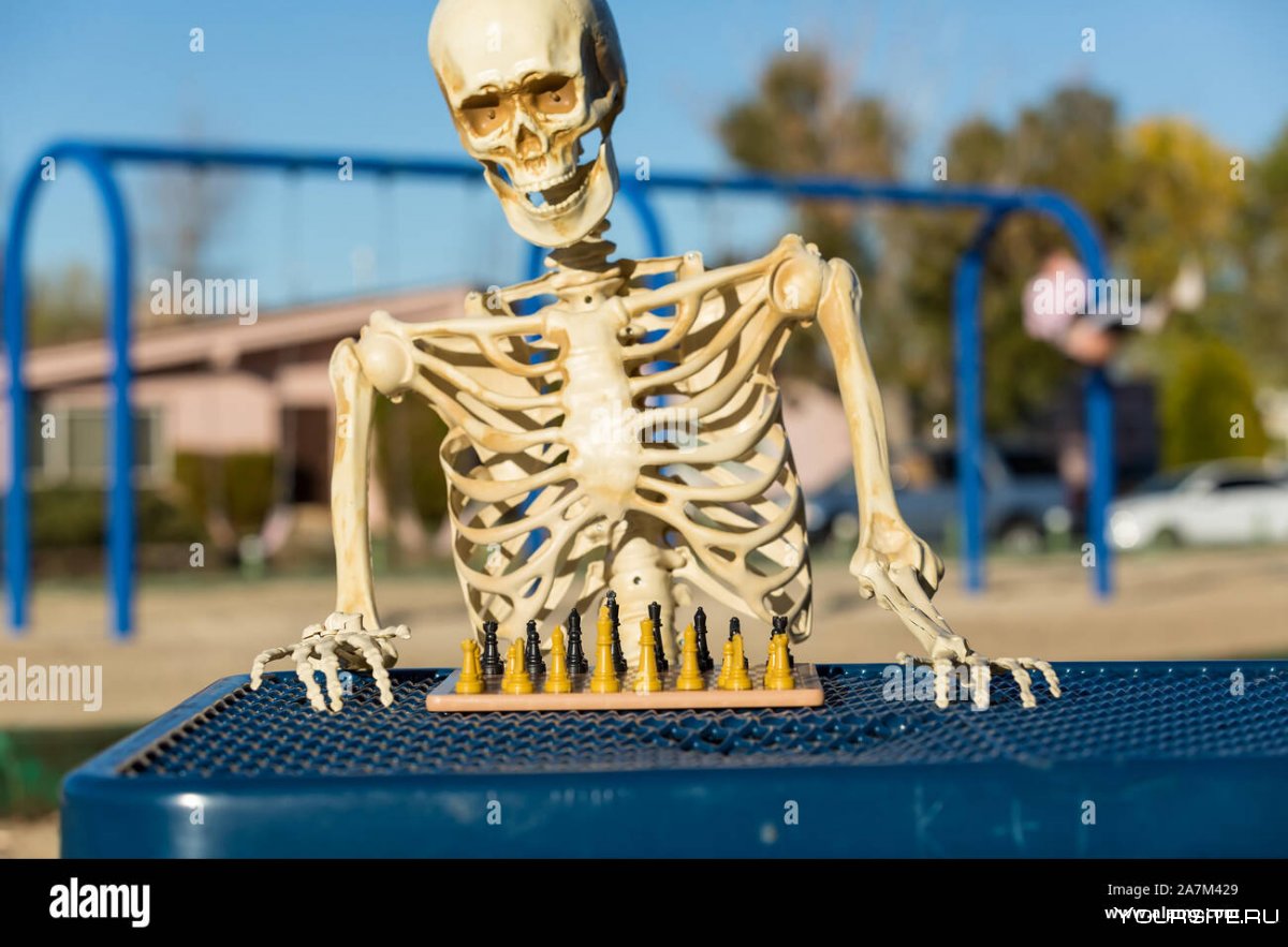 Скелет в тренажерном зале