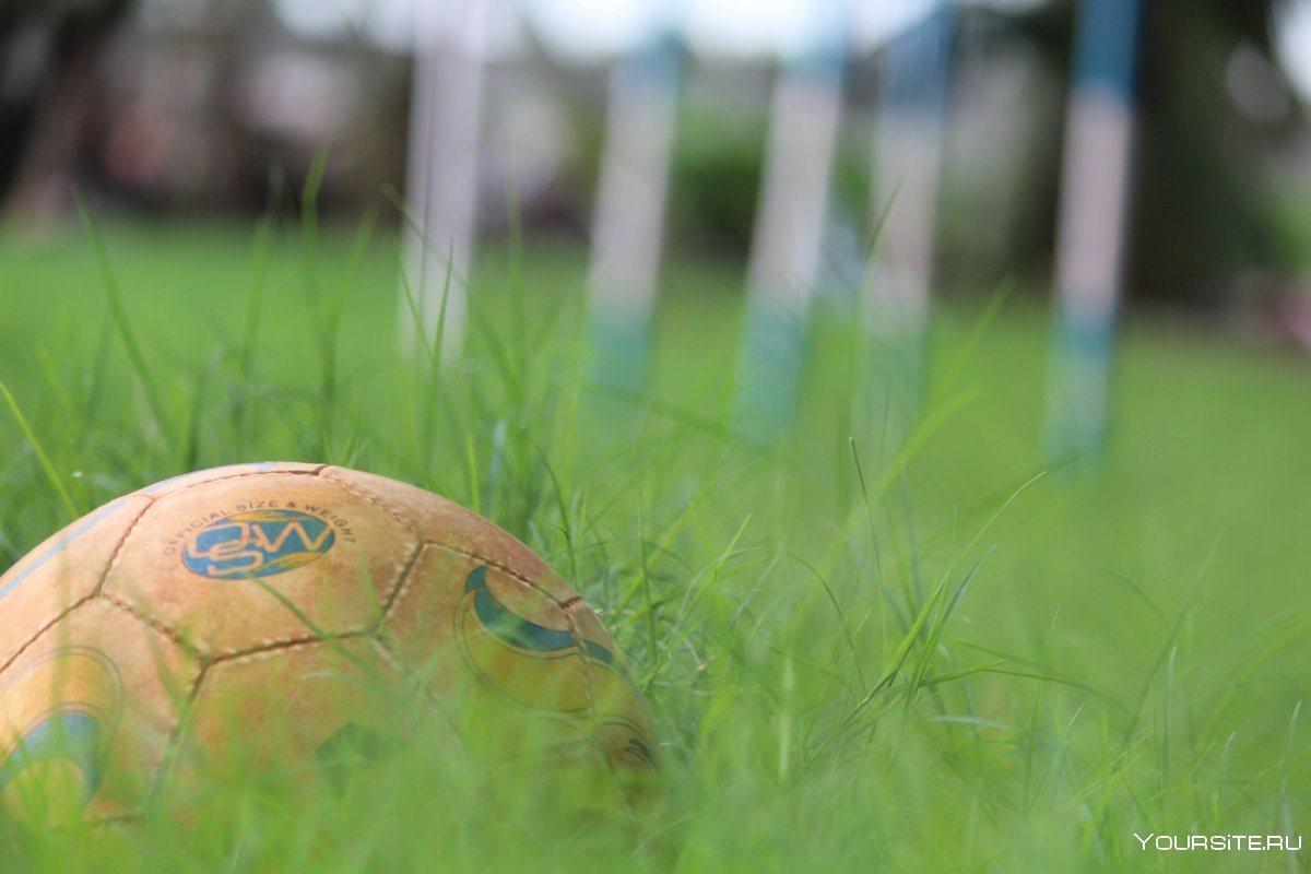 Игра в мяч на траве
