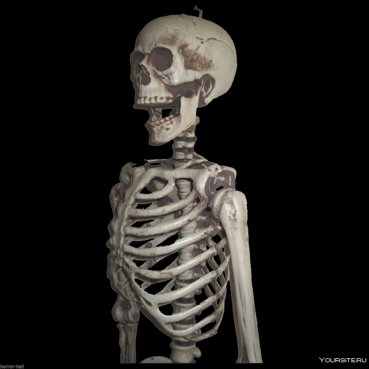 Металлический скелет человека