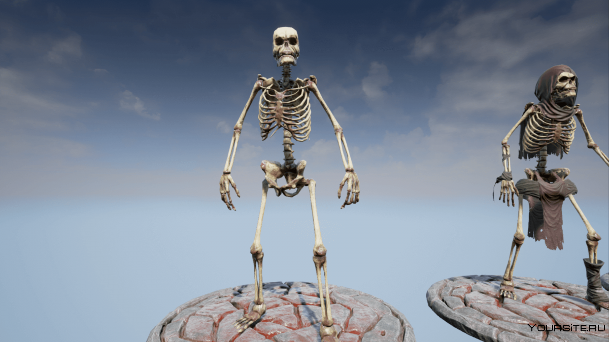 Томас скелет 17