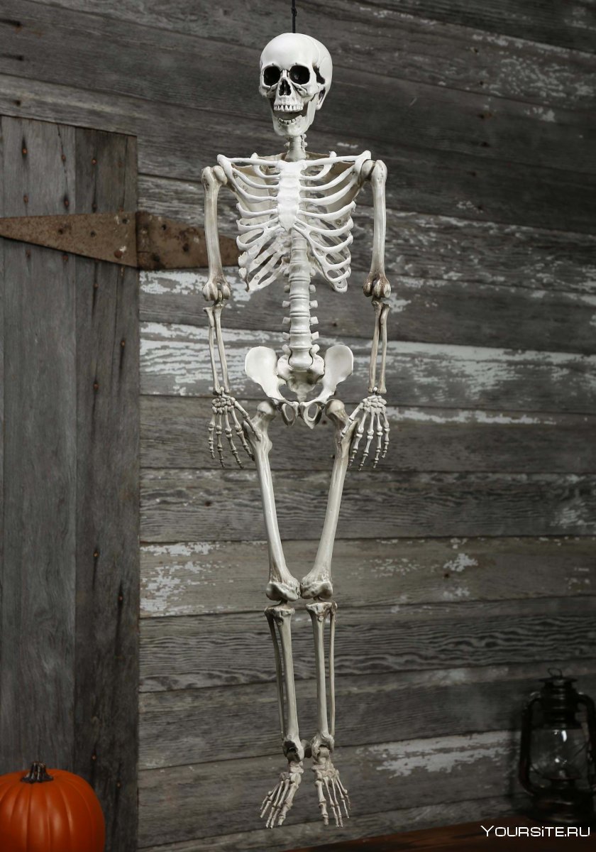 Металлический скелет