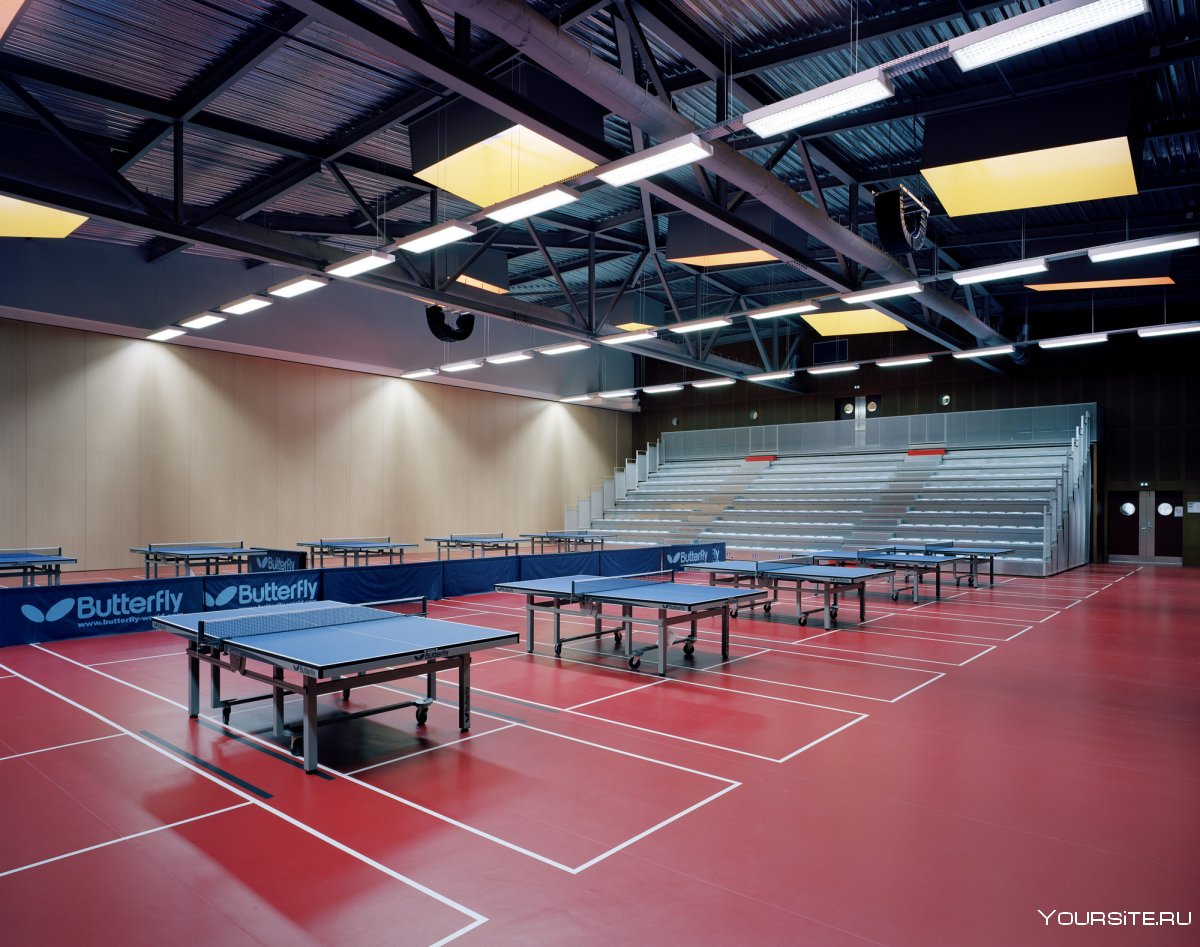 Спортивный зал для настольного тенниса