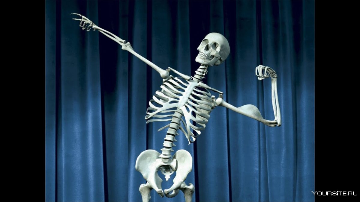Бисер скелет