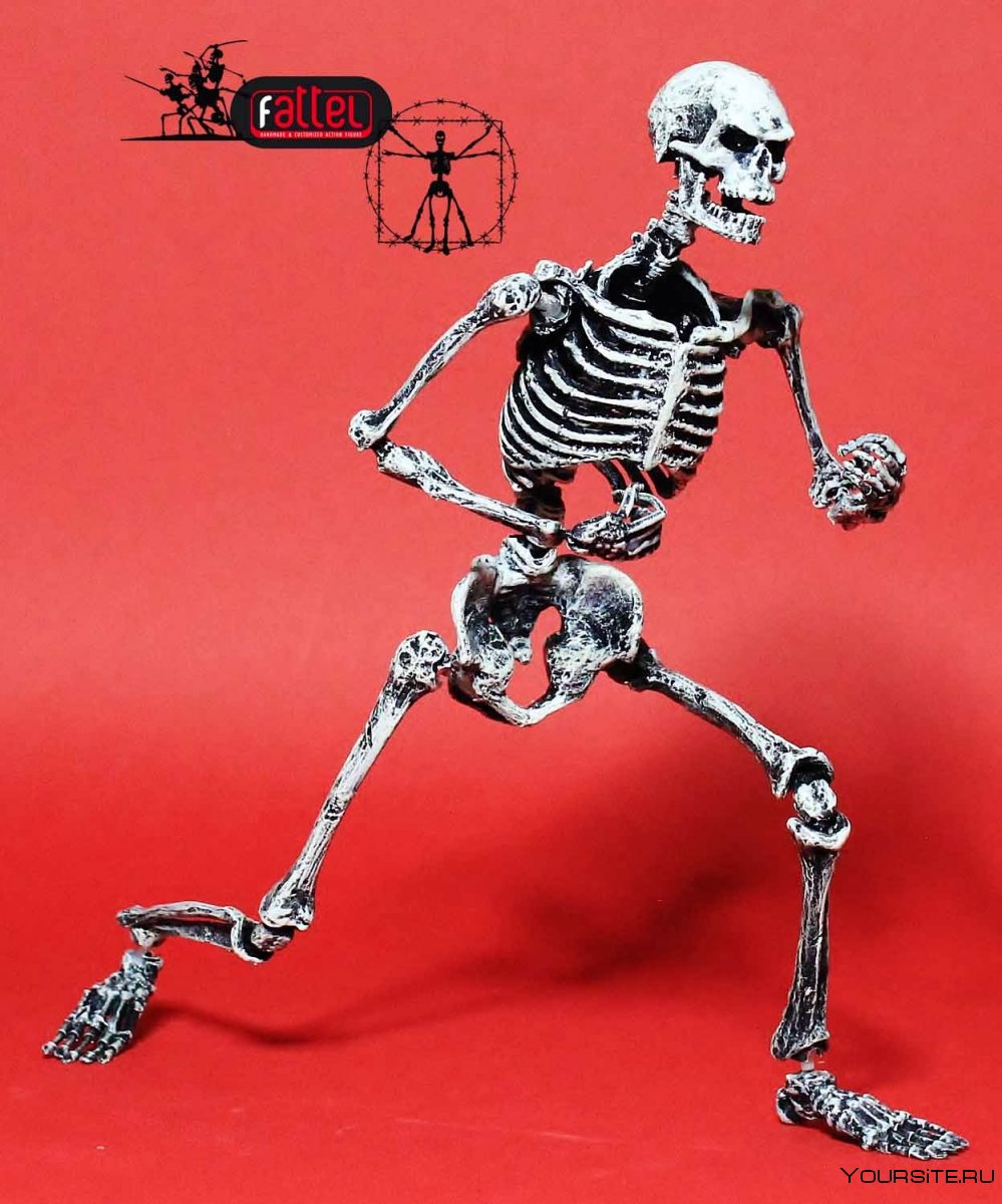 Худой но большой скелет