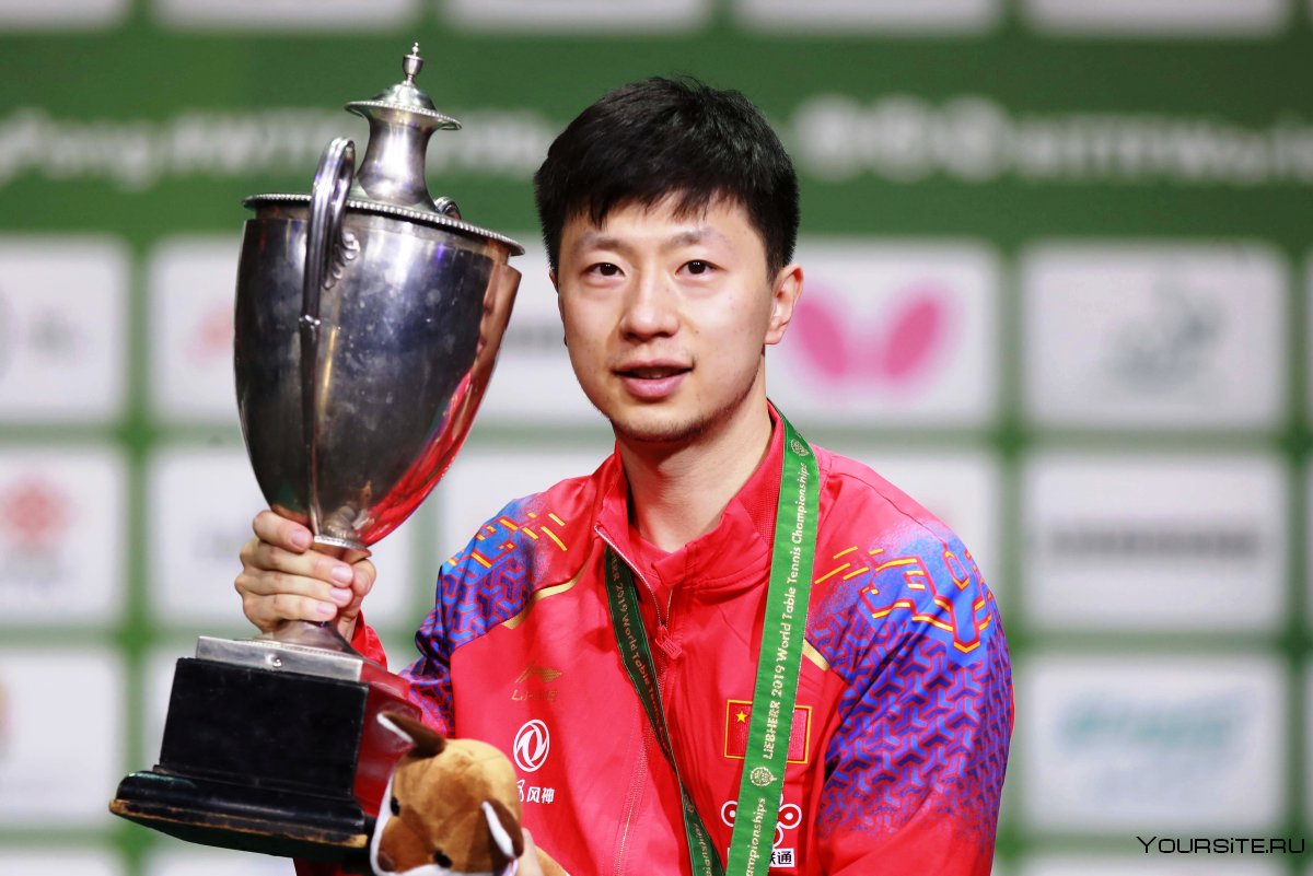 Ма Лонг настольный теннис