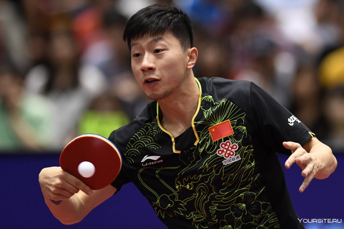 Xu xin теннисист