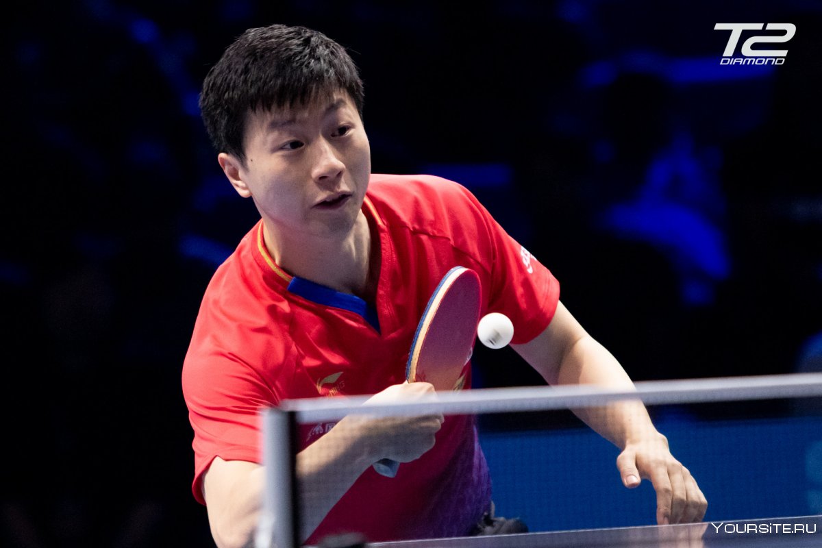 Ма лун настольный теннис
