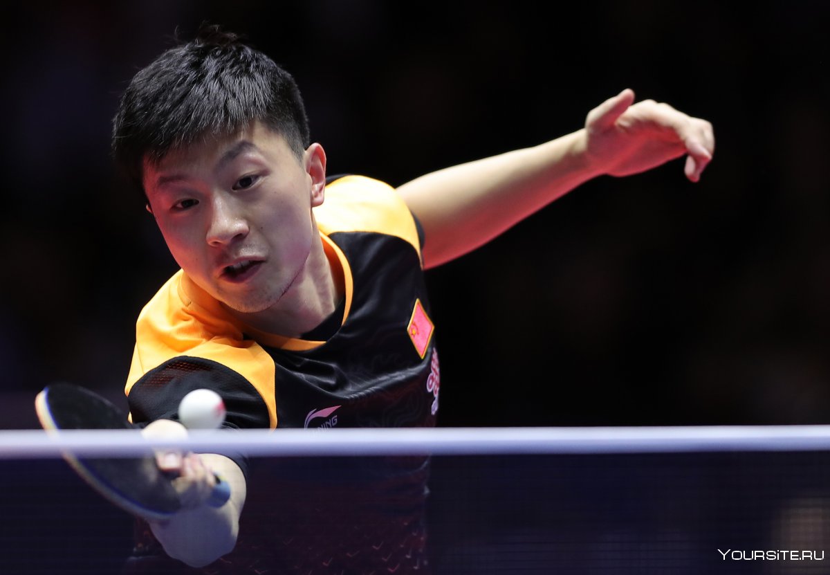 Ма лун настольный теннис