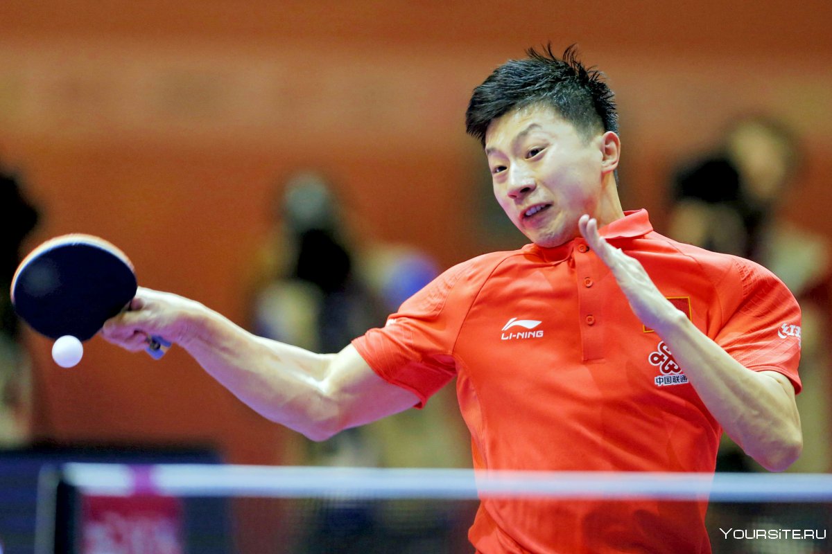 Сю синь настольный теннис