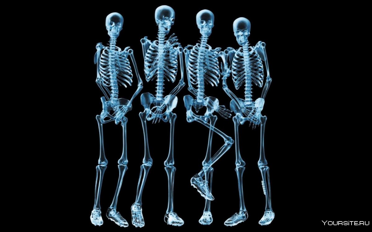 Скелет человека на черном фоне