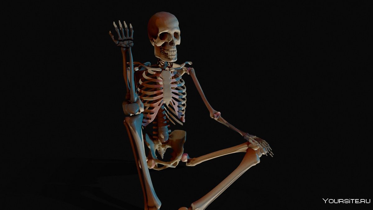 Скелет сидит
