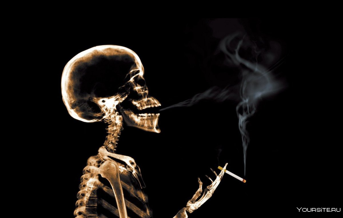Скелет в дыму