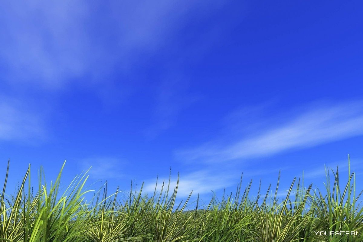 Летнее безоблачное небо