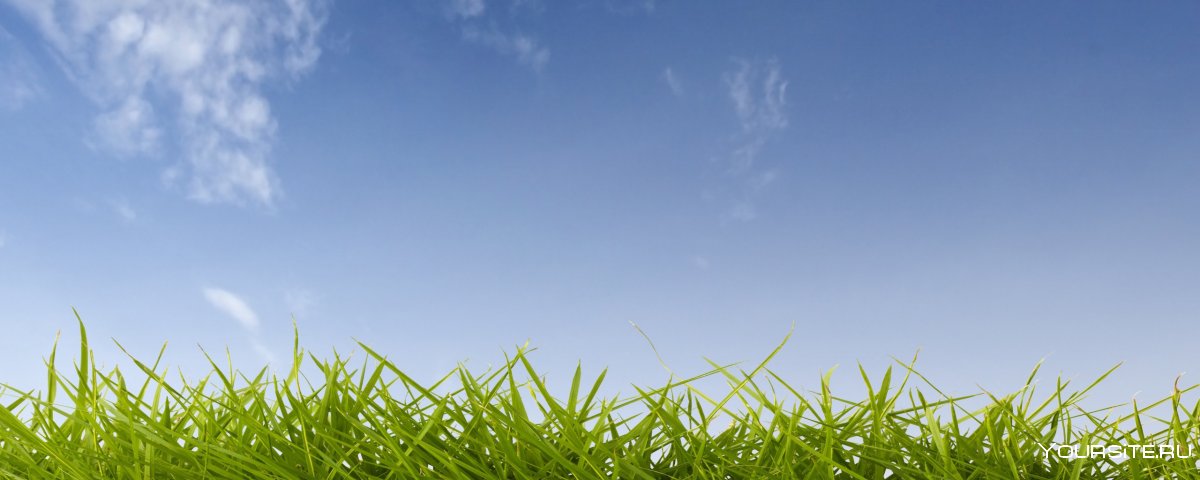 Фон для презентации небо и трава