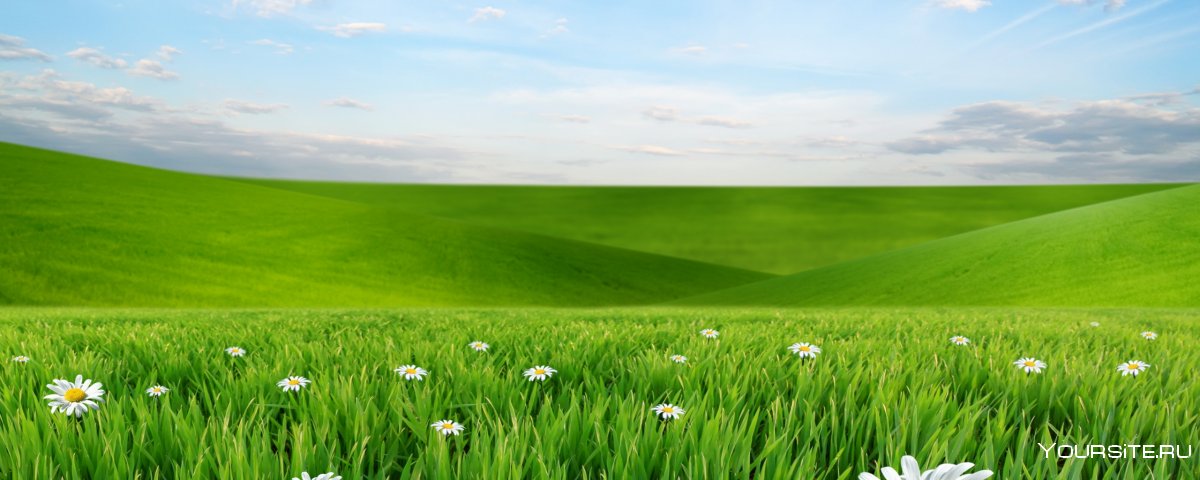 Фон с травой и небом панорама