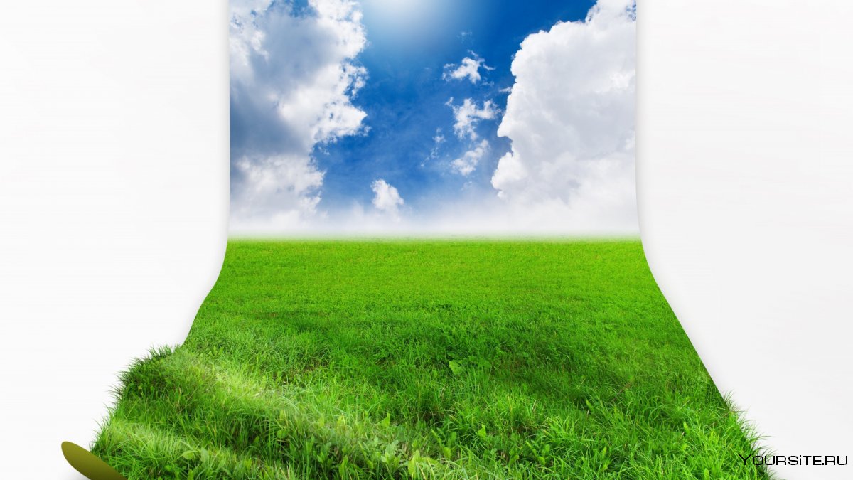 Трава и небо