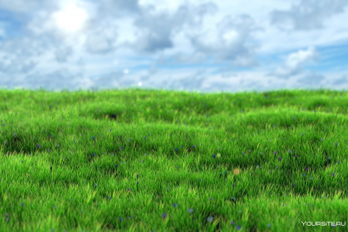 Зеленая трава