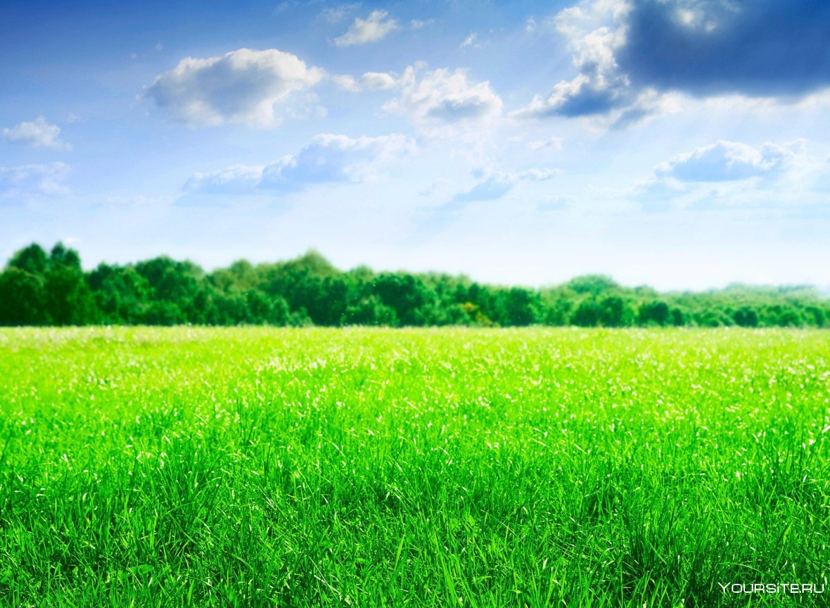 Зеленые Луга