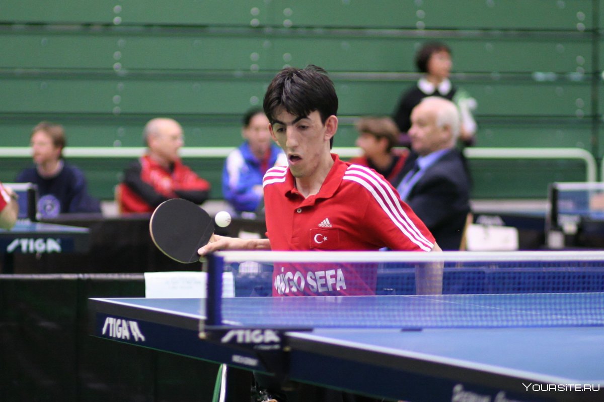 Xu xin