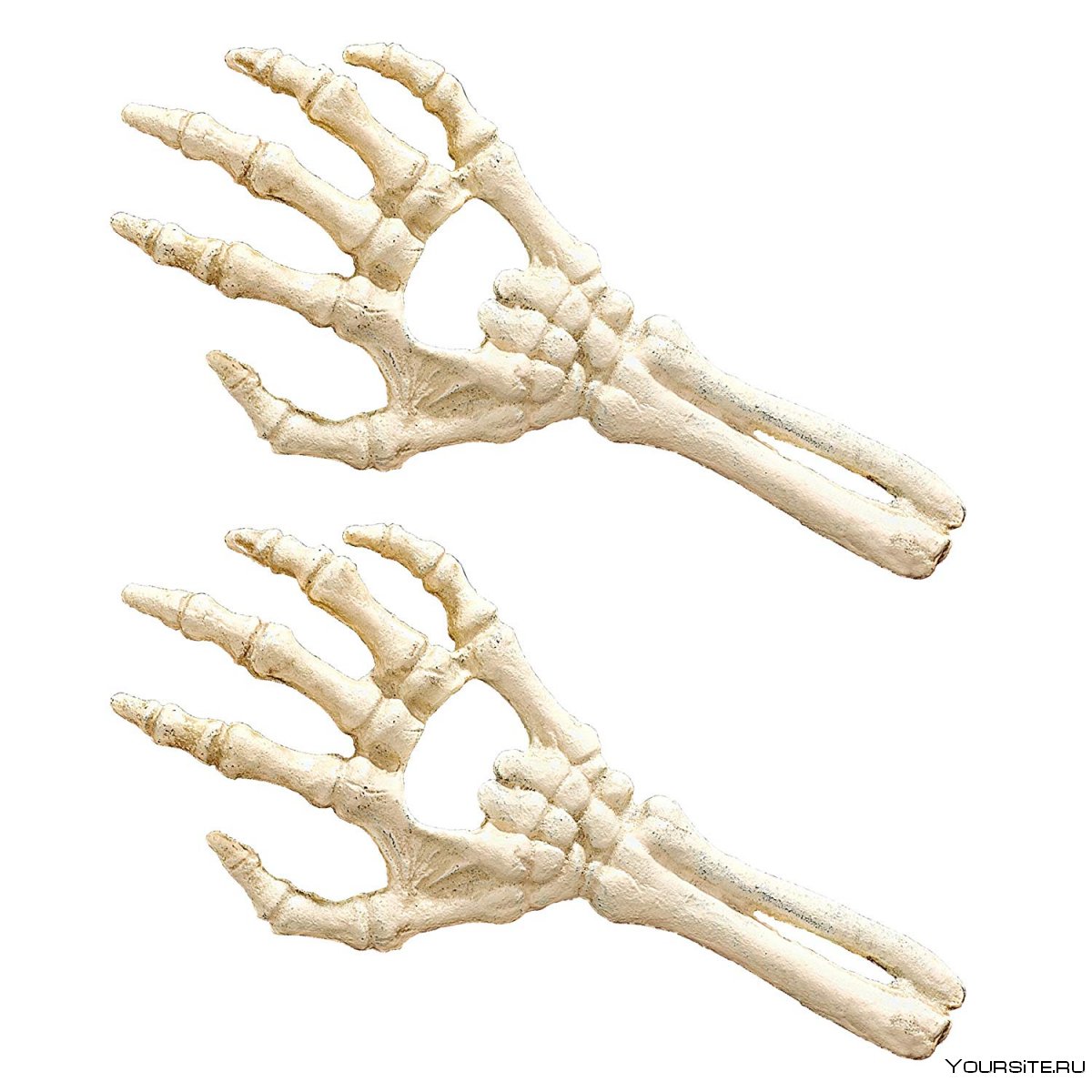 Скелет руки человека