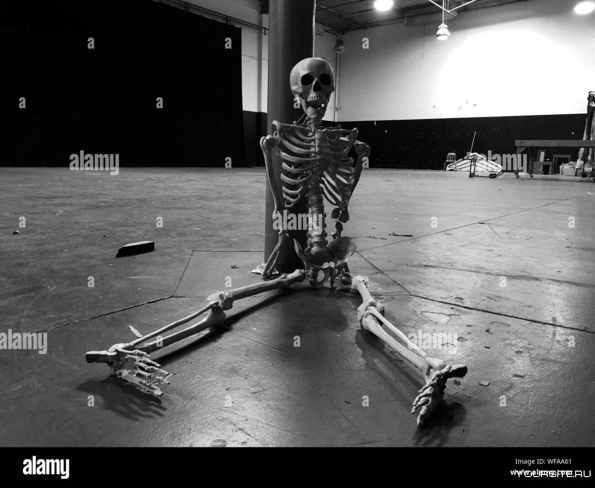 Скелет на белом фоне