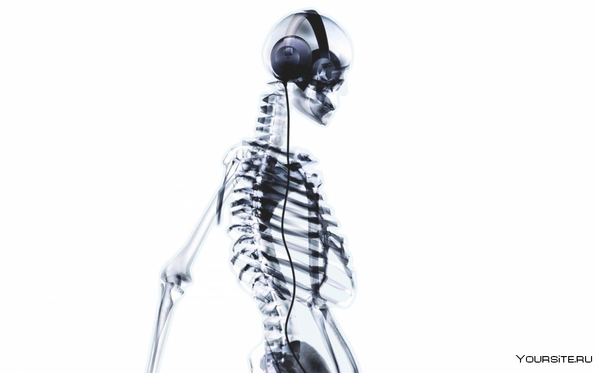 Скелет рентген на белом фоне