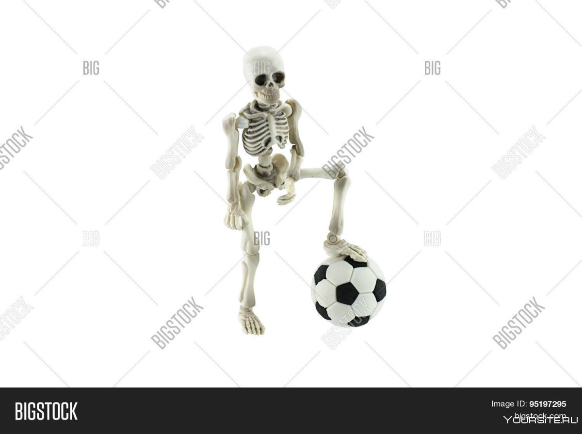 Скелет футболист