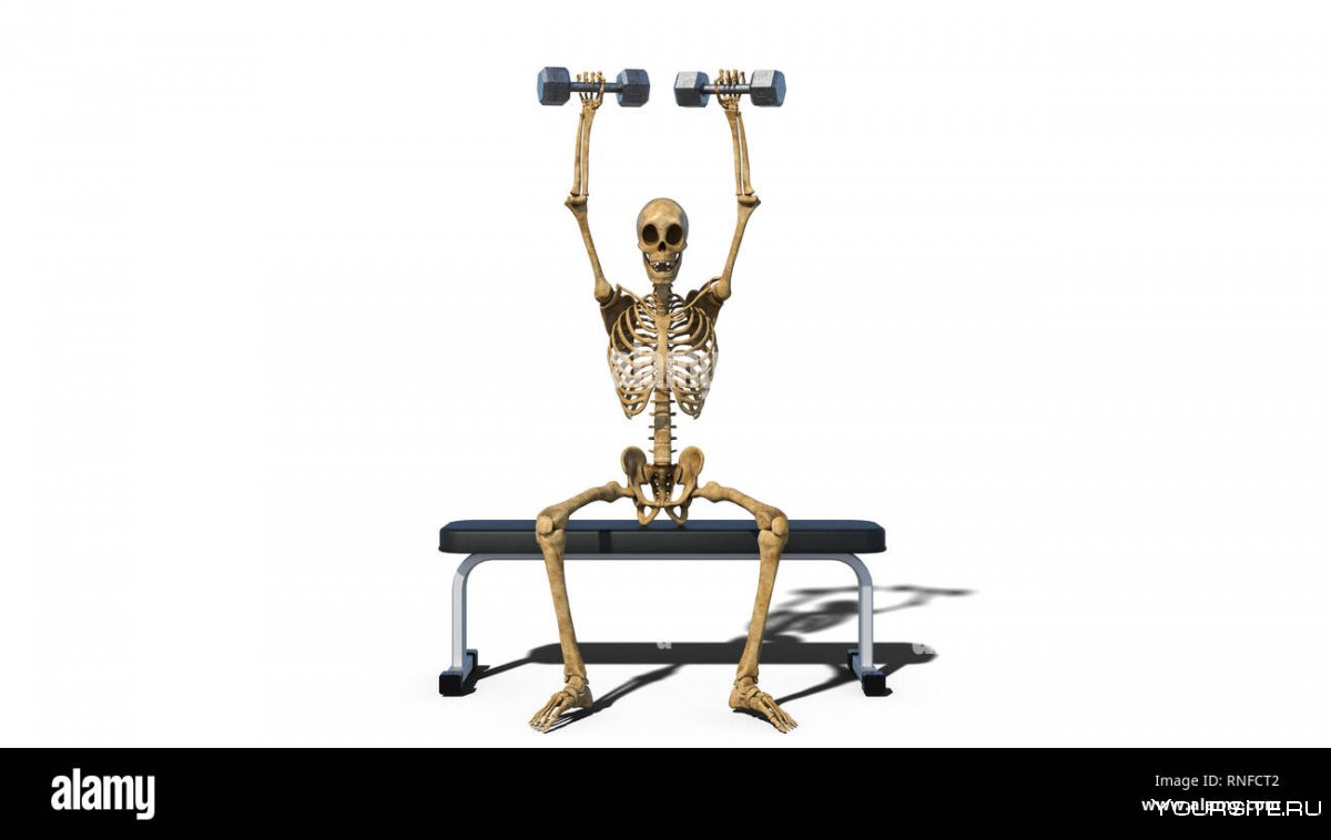 Funny Skeleton Gym vector
