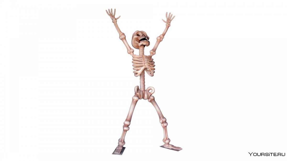 Радостный скелет