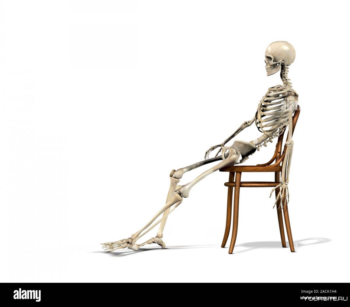 Скелет в сидячем положении