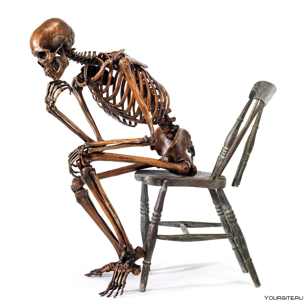 Скелет сидя