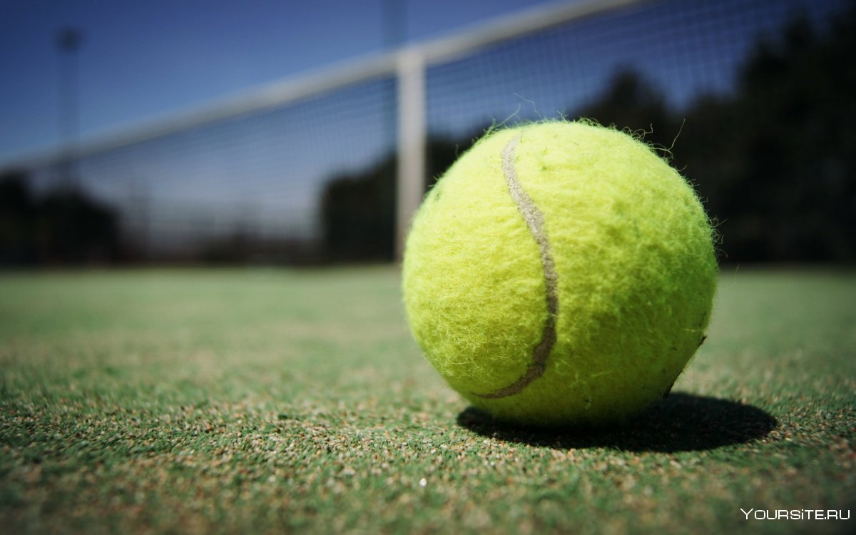 Теннисный корт мяч трава