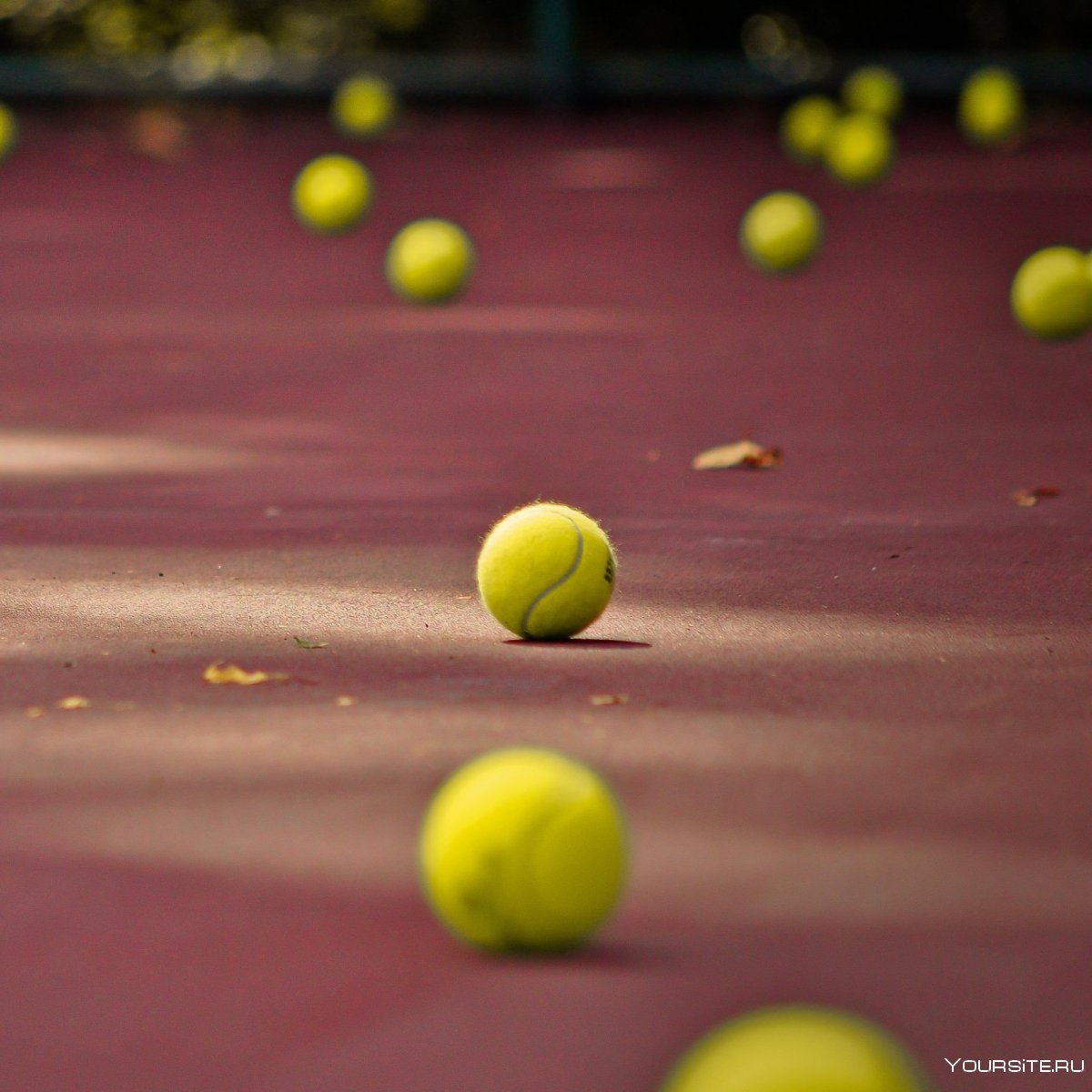 Теннисный мяч на корте
